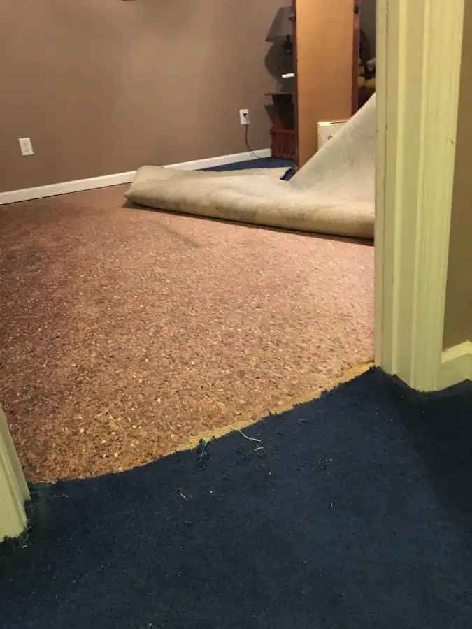 Carpet pad removal revealing water damage during Drying & Dehumidification in Pinole