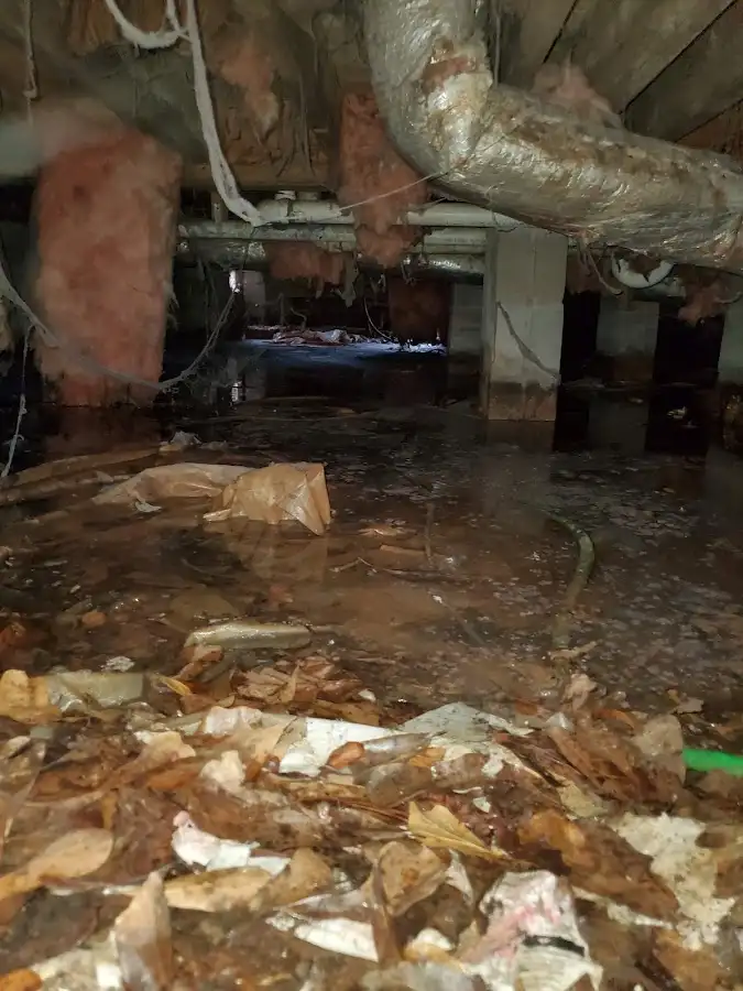 Crawl space flood assessment for Leak Detection & Repair in Pinole