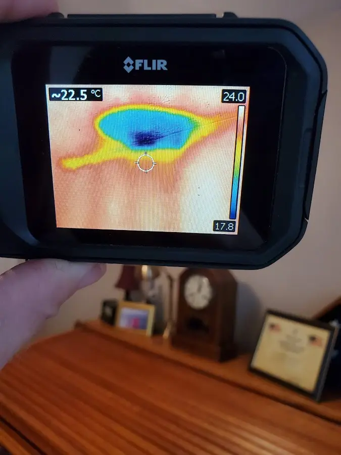 Thermal imaging inspection for water damage in Pinole